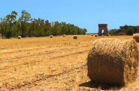 Storia di un'impresa autarchica: la miniera di San Giovanni Rotondo