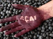 Bacche Acai proprietà benefici