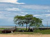 ‏Watamu, paradiso azzurro Kenya