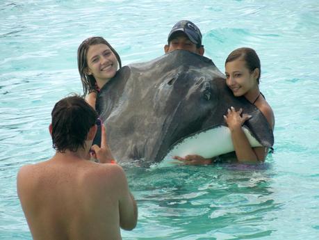 Johnny Cay, Haynes Cay e Acuario