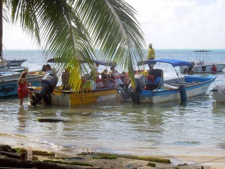 Johnny Cay, Haynes Cay e Acuario