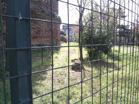 Tante, tantissime foto sul degrado di Villa Gordiani