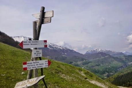 Trekking del 25/4/2014.