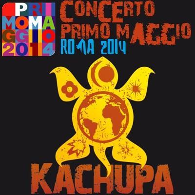 I Kachupa al concertone del Primo Maggio 2014 a Roma.