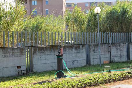 A Ostia il nuovo accampamento abusivo bruciaplastica sta giusto vicino ad una scuola