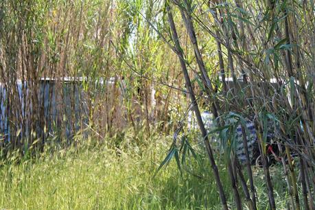 A Ostia il nuovo accampamento abusivo bruciaplastica sta giusto vicino ad una scuola