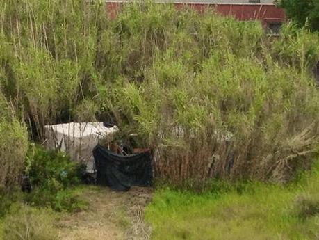 A Ostia il nuovo accampamento abusivo bruciaplastica sta giusto vicino ad una scuola