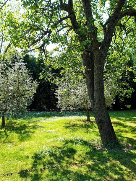 Primavera in campagna...particolari da un'interno, la casa di Sofia.