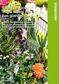 RAPPORTO GREENPEACE: PESTICIDI DANNOSI PER LE API NELLE PIANTE ORNAMENTALI VENDUTE IN EUROPA