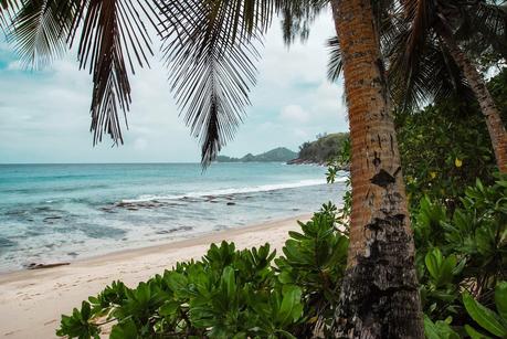 LUNA DI MIELE: DESTINAZIONE SEYCHELLES