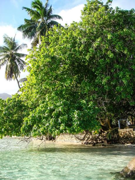 LUNA DI MIELE: DESTINAZIONE SEYCHELLES