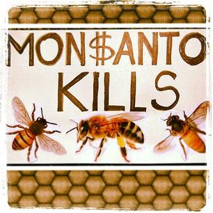 api-monsanto