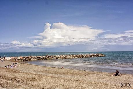 Tra parchi urbani e mare