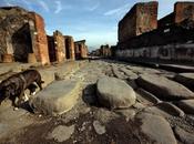 Accalappiacani negli scavi Pompei: guide turistiche ribellano