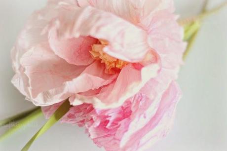 crepe and watercolor flower