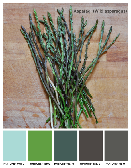 foddcolors, colors, asparagi, wild asparagus, green, verde