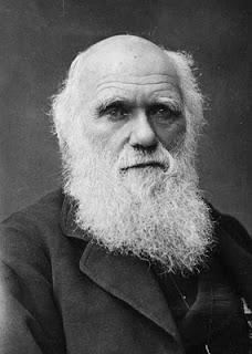 Darwin in Italia