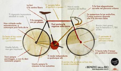 BIKE TREND 1