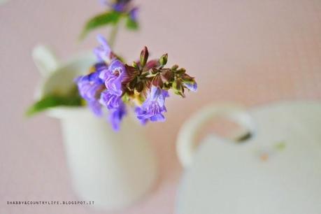 Tra cioccolato e Pan di Stelle .. La zuppiera delle Rose