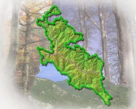Parco nazionale delle Foreste Casentinesi, Monte Falterona e Campigna: Foreste millenarie ed ambienti naturali, scenario dell'antica presenza dell'uomo.