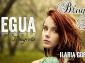 Blogtour: "Tregua. Segreto" Ilaria Goffredo