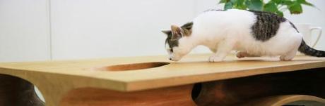 Cat Table