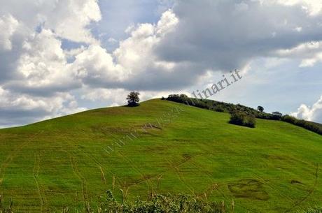 Una Maremma da scoprire : L'area del tufo