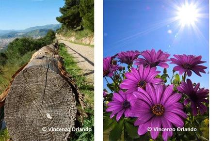 Perchè siamo tutti mostruosi e bellissimi: le foto di Monte Catalfano, Bagheria