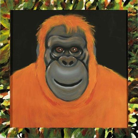 SGUARDO… ANIMALE: LE ILLUSTRAZIONI DI DANIELE NANNINI Daniele Nannini - orango illustrazione
