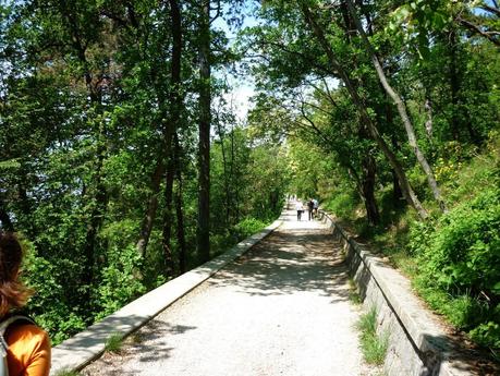 strada napoleonica trieste opicina