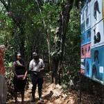 Il santuario degli scimpanzé della Sierra Leone06