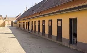 Una novella  Theresienstadt