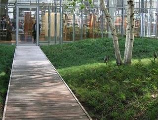 The New York Times Building Lobby Garden