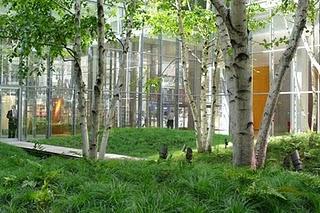 The New York Times Building Lobby Garden