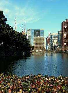 Tokyo e le trippe di Pomodoro