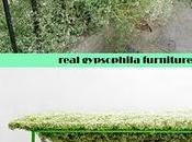 rubrica _design your life ETERNAL GYPSOPHILA