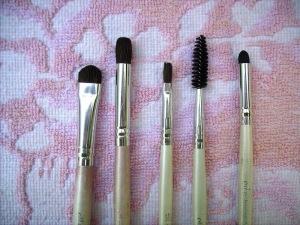 Elf Essentials Brushes