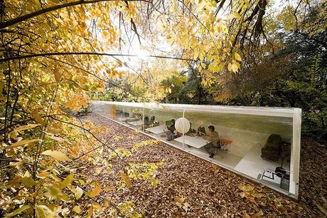 Uffici nella natura/Offices in the landscape