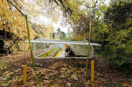 Uffici nella natura/Offices in the landscape