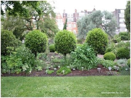 un giardino botanico a Londra