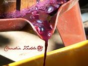 Vino Sardegna