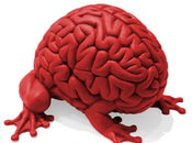 Notti Romanzo: perché organizzarle anche altri luoghi d’Italia?