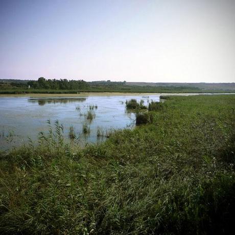 Elementi naturali del paesaggio marino