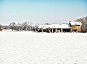 neve…