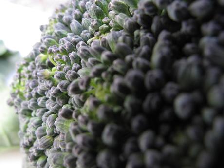 Brassica oleracea var. italica, il Cavolo broccolo