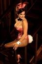 Conigliette dagli archivi di Playboy