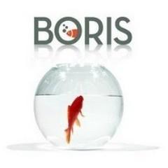 Arriva Boris il film