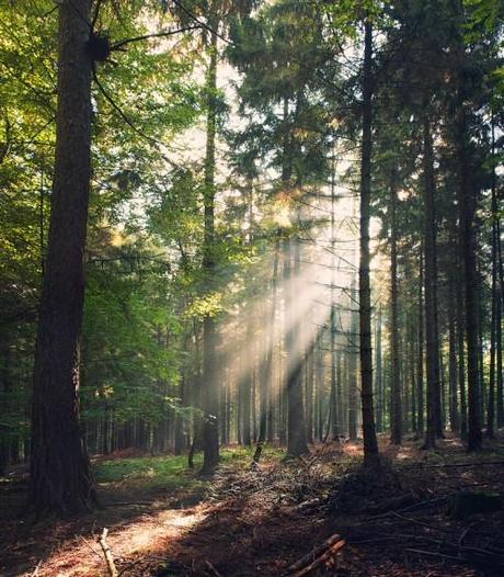 Il buongiorno si vede dal mattino – Fotografia – ispirazione