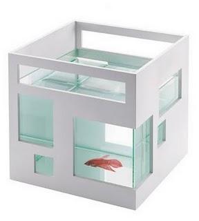 Must have - Fish House