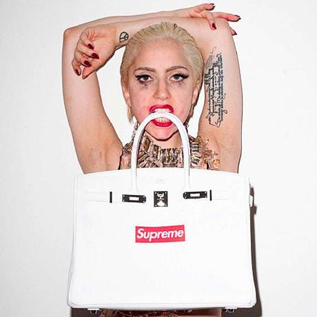 lady-gaga-supreme-terry-richardson-purple-magazine-01